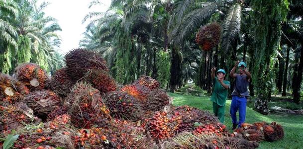 ��������ڱ�ֵ